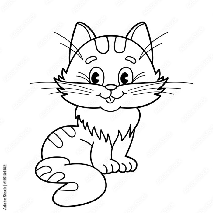 Cat anatomy coloring book