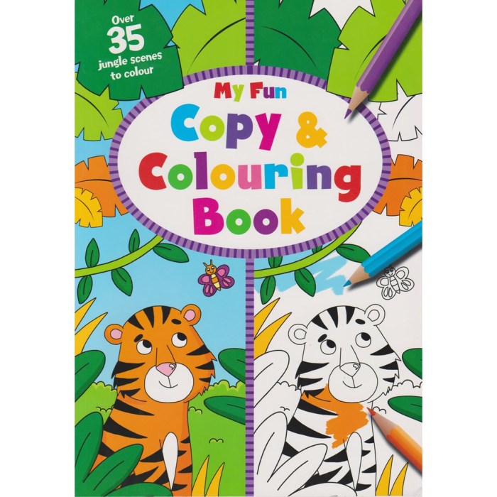 Coco wyo coloring books nearby