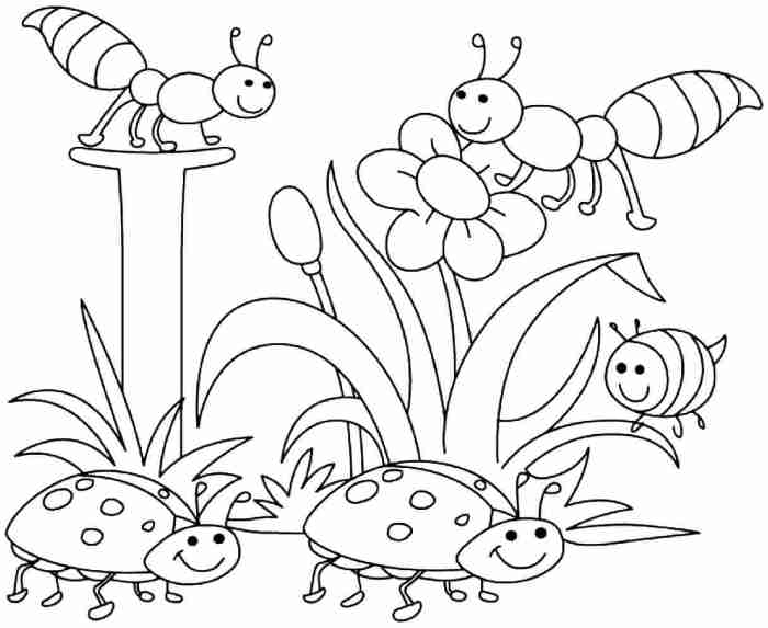 Free printable springtime animal coloring pages