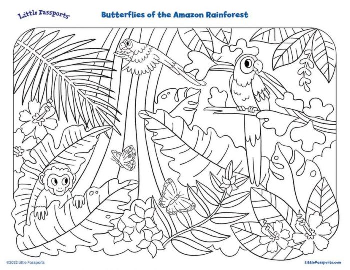 Coloring pages of tropical rainforest animals