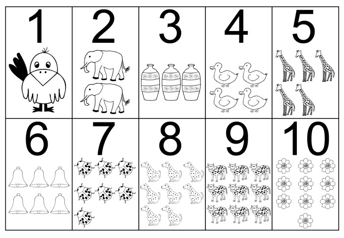 Coloring book with number guide