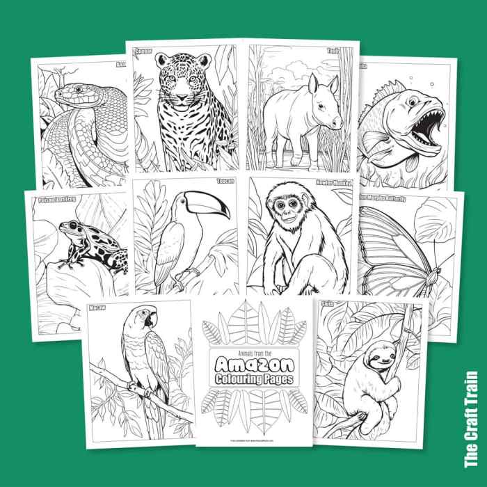 Coloring pages of tropical rainforest animals