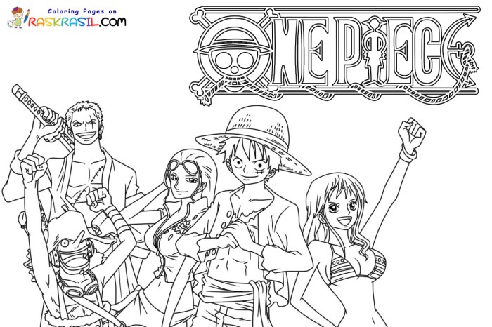 One piece anime coloring book