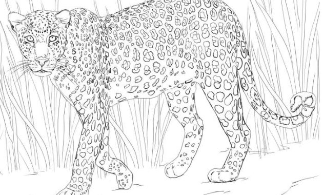 Coloring Sheets for Africa Animals A Wildly Creative Adventure