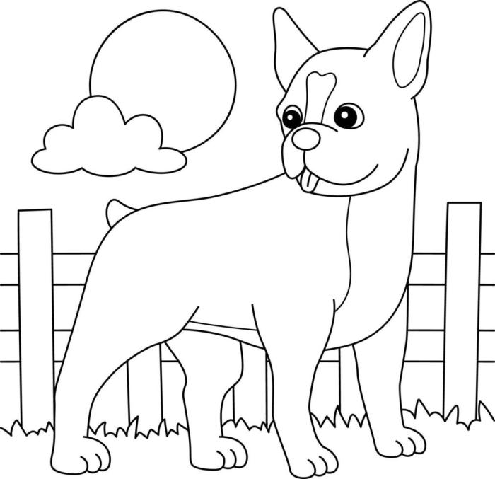 Boston terrier coloring book