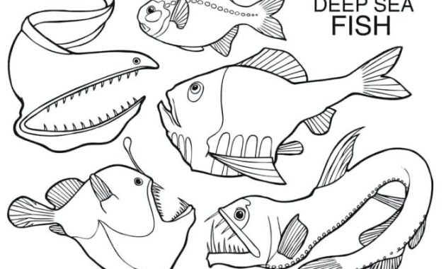 Deep Sea Animals Coloring Pages