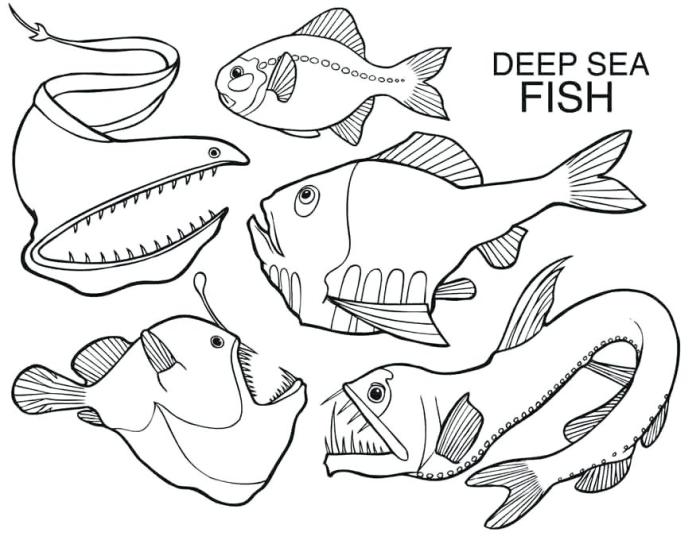 Deep sea animals coloring pages