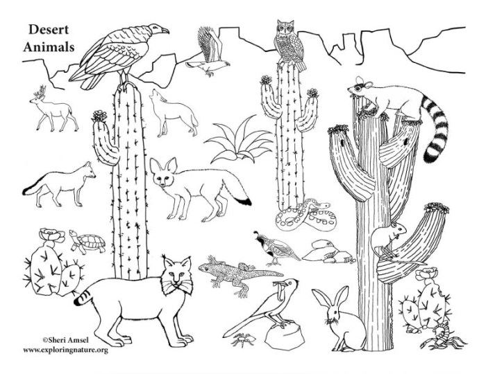 Desert animals label coloring