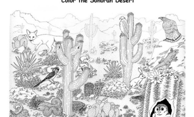 Desert Animals Label Coloring Pages