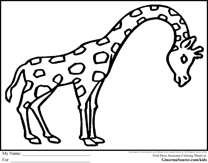 Easy animal coloring pages norwall