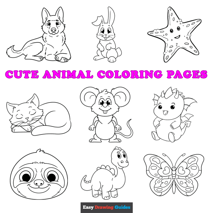 Day 6 animals coloring sheet