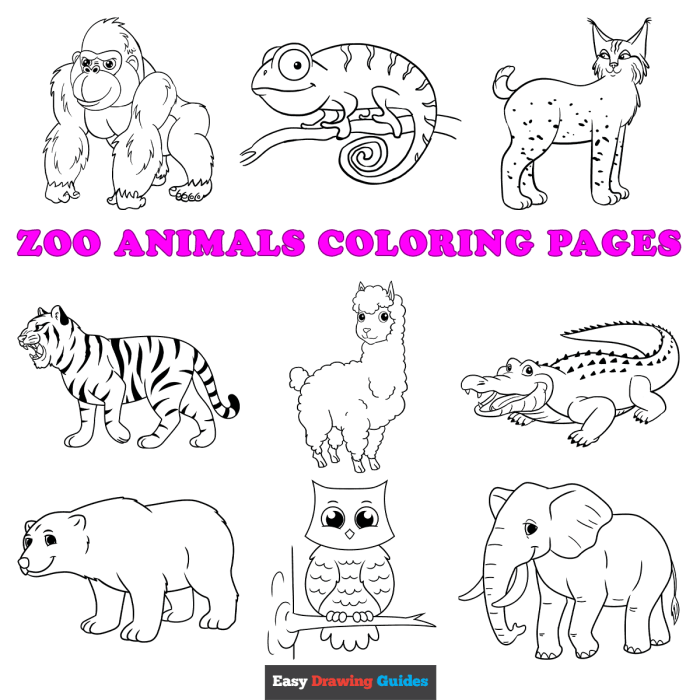 Day 6 animals coloring sheet