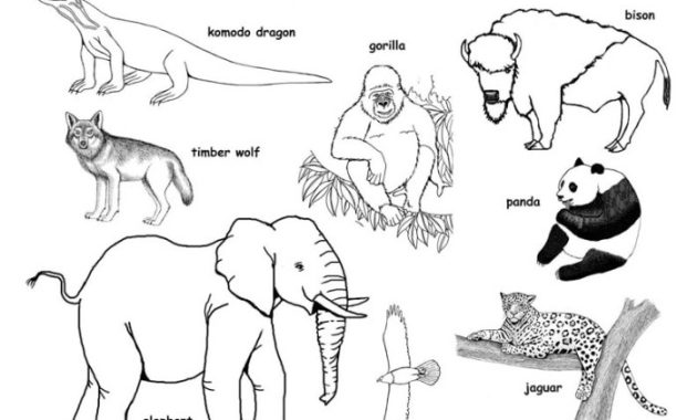 Endangered Animals Coloring Page A Creative Approach