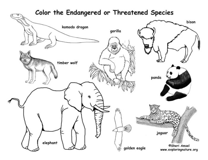 Endangered animals coloring page