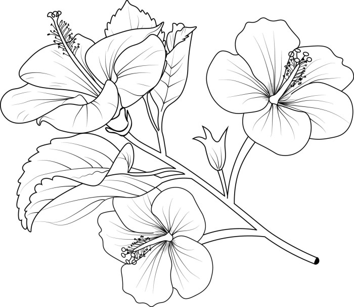 Coloring book flowers art