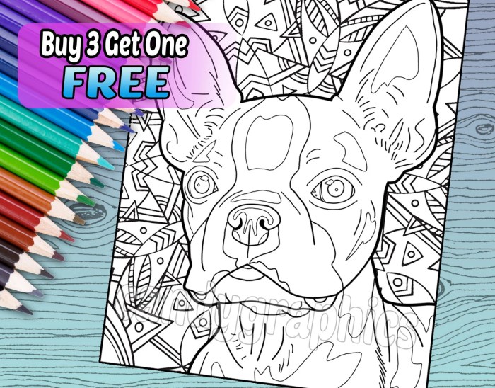 Boston terrier coloring book