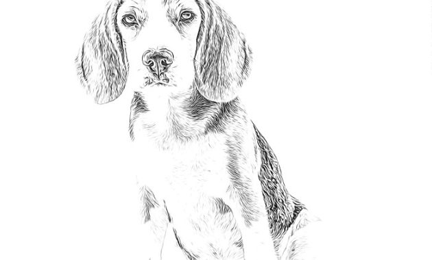 Animal Beagle Coloring Pages A Delightful Journey