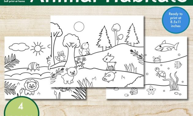 Flying Animals Habitat Coloring Sheet