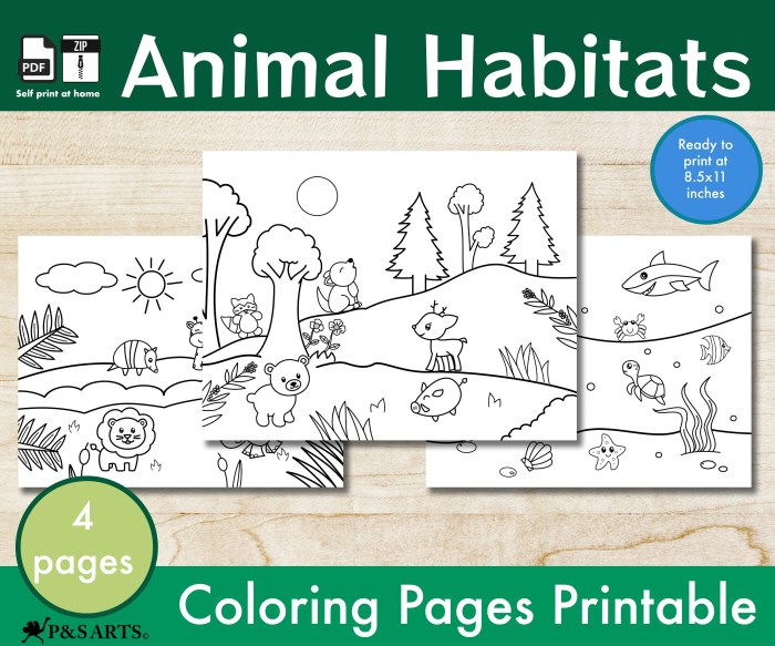 Flying animals habitat coloring sheet