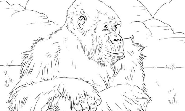 Easy Gorilla Animal Coloring Pages