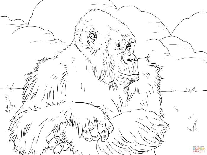 Gorilla coloring gorillas