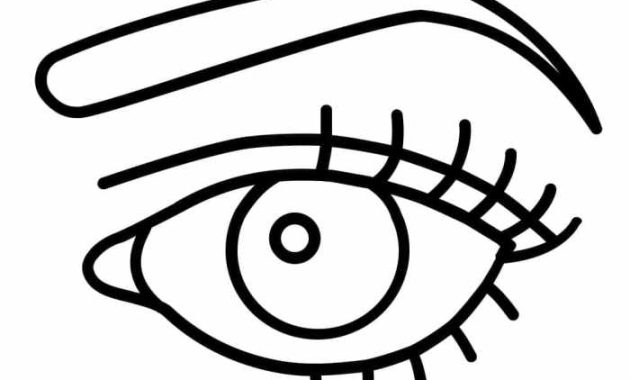 Eyeball Coloring Sheet Human and Animals