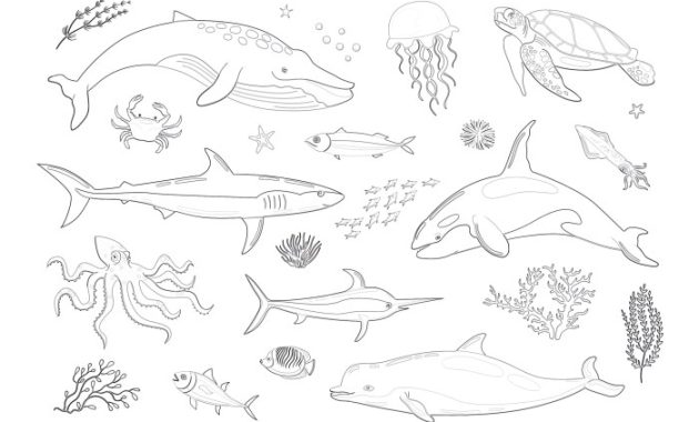 Marine Animals Coloring Pages Dive into Fun!